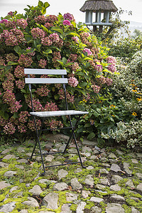 一把艾草摄影照片_花园里的一把椅子