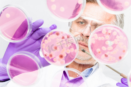 细胞实验摄影照片_嫁接细菌的高级生命科学研究员。