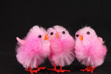 粉色小鸡摄影照片_粉色复活节小鸡