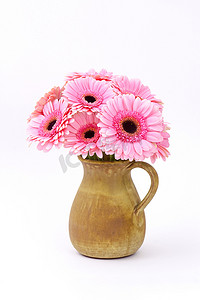 花瓶中的粉红色非洲菊花