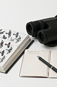 观鸟工具、双筒望远镜、指南、铅笔、笔记本