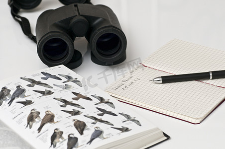 观鸟工具、双筒望远镜、指南、铅笔、笔记本