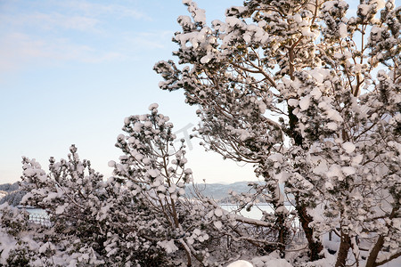 挪威的冬季景观