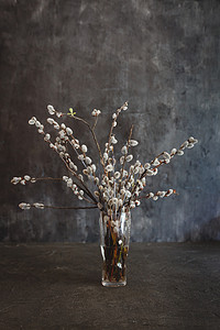 中柳树摄影照片_深色复古背景中带柳花猫的花瓶