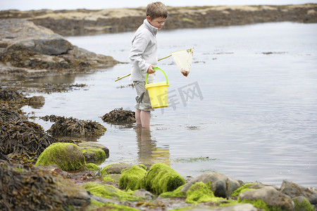 海滩上捡贝壳的男孩