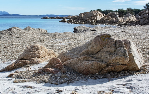 翡翠海岸冬季海滩上的绿水和干海草