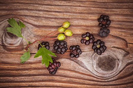 木质背景中的野生黑莓浆果