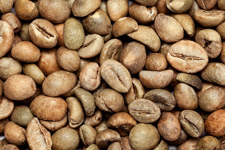 干绿咖啡豆（阿拉比卡咖啡）