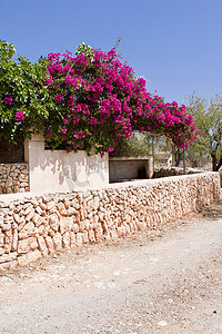 带粉红色花朵的地中海砖入口花园