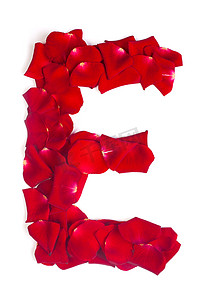 爱情语言摄影照片_字母 E 由红色花瓣制成，白色玫瑰