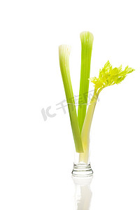 芹菜汁摄影照片_白色隔离的高玻璃杯中的芹菜