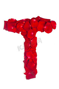 爱情语言摄影照片_由红色花瓣制成的字母 T 在白色的玫瑰上