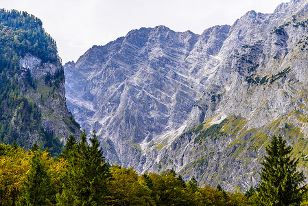 贝希特斯加登摄影照片_覆盖着森林的阿尔卑斯山脉，Koenigssee，Konigsee，贝希特斯加登国家公园，巴伐利亚，德国