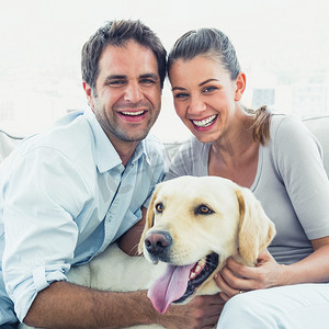 幸福的夫妻在沙发上抚摸着他们的黄色拉布拉多犬