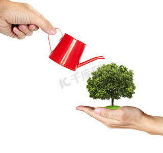 一只手在给树浇水