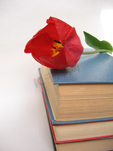 三本带红色鲜艳花朵的厚书