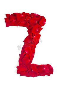 由红色花瓣制成的字母 Z 在白色的玫瑰上