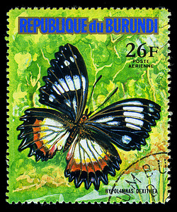 蝴蝶邮票摄影照片_布隆迪共和国-大约 1974 年：在布隆迪印刷的邮票显示一只蝴蝶 Hupolimnas Dexithea，系列，大约 1974 年