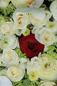 白色新娘花束中的红玫瑰