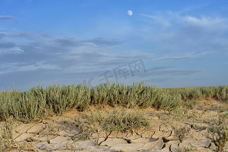 耳朵暖摄影照片_带裂泥的干旱景观