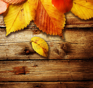 秋天的落叶在木制的背景