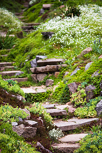 假山景观摄影照片_绿色花园中的石阶