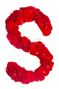 由红色花瓣制成的字母 S 在白色的玫瑰上
