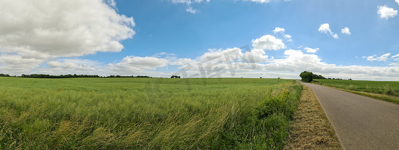 北欧国家景观的全景，街道、田野和绿草。