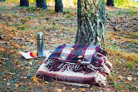 两个格子花呢在树林里放松两人和早餐。