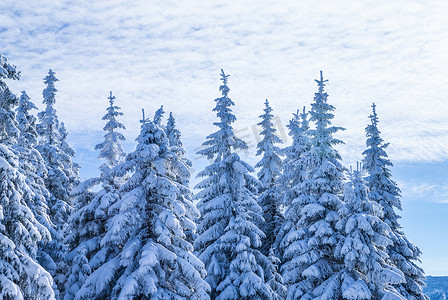 梦幻2摄影照片_美丽的冬天风景