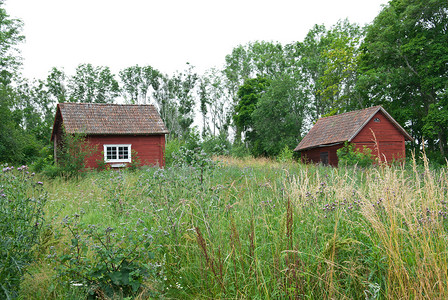 老红军和小红军摄影照片_斯堪的纳维亚的夏天，传统的老红房子