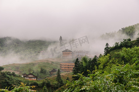 广西绣球摄影照片_山上的雾