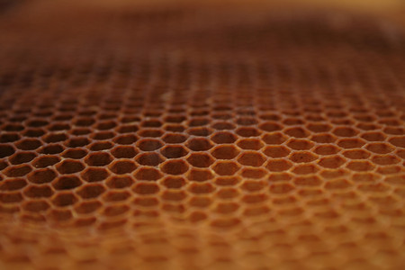 蜂蜡wirhout蜂蜜