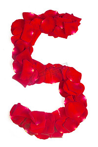 字迹字体摄影照片_5 号由红色花瓣在白色玫瑰制成
