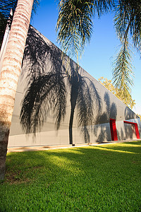 棕榈树页摄影照片_在大厦墙壁上的棕榈树阴影