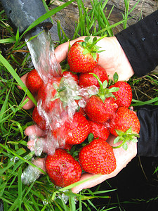 洗草莓草莓摄影照片_新鲜草莓的清洗