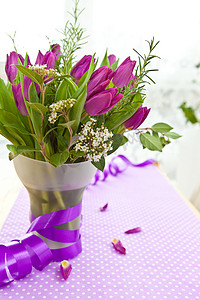 新鲜的紫色郁金香