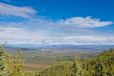 育空地区中部 T 加拿大针叶林和奥格尔维山脉