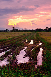 下雨农村风景摄影照片_与日落天空的好的稻田风景