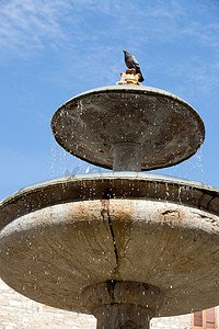 随地吐痰摄影照片_主广场的阿西西喷泉