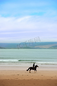 金兰湾摄影照片_maharees 的马和骑手