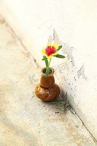 陶瓷花瓶中的玫瑰莫斯