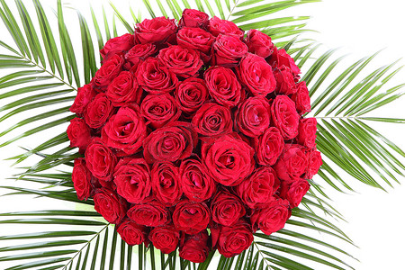 京东五一大促摄影照片_一大束红玫瑰。