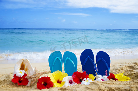 人字拖、贝壳和海星，沙滩上有热带花卉