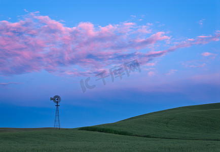 美国华盛顿州惠特曼县暮色中的风车、小麦和云
