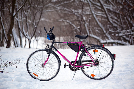 雪树林摄影照片_站在树林里的自行车