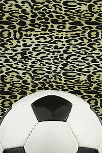 背景为豹纹的白色皮革足球，