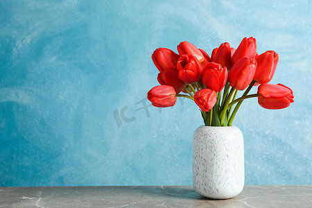 蓝色背景下桌上有美丽红色郁金香的花瓶，文字空间