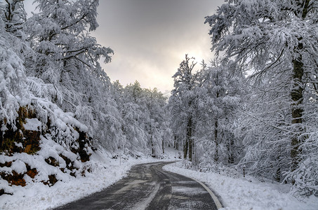 雪路