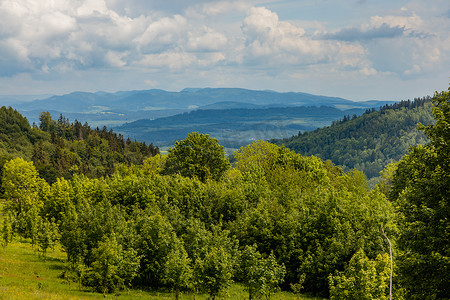 Rudawy Janowickie 全景，周围满是草木的大林间空地